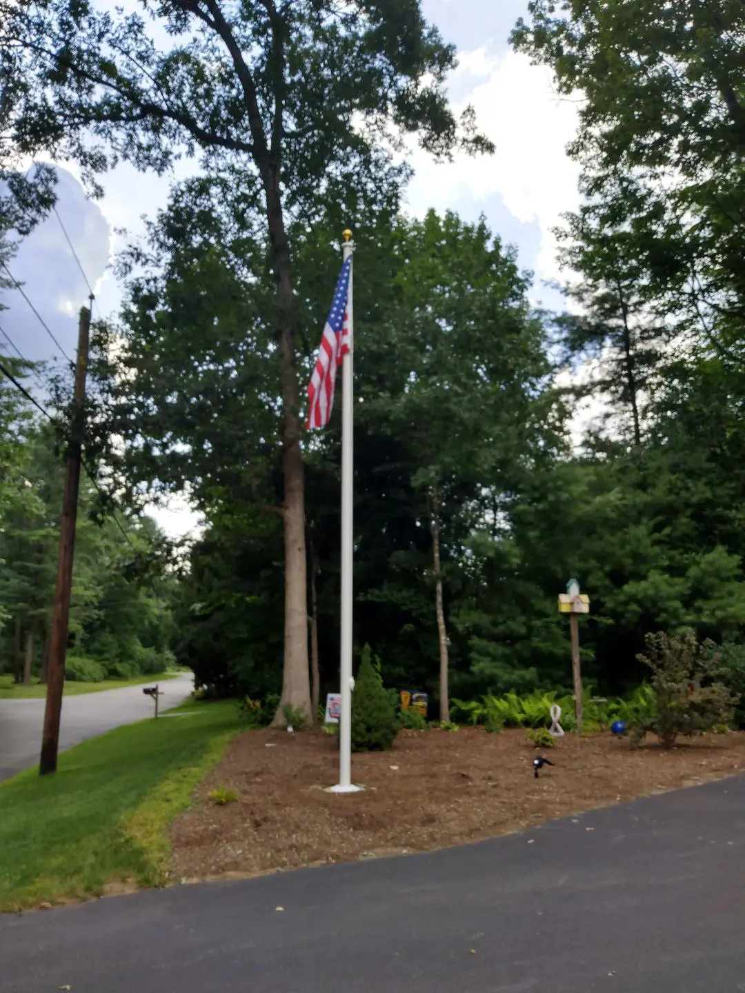 A United States flag on a tall flagpole stands in a landscaped area near a road, surrounded by trees and greenery.
