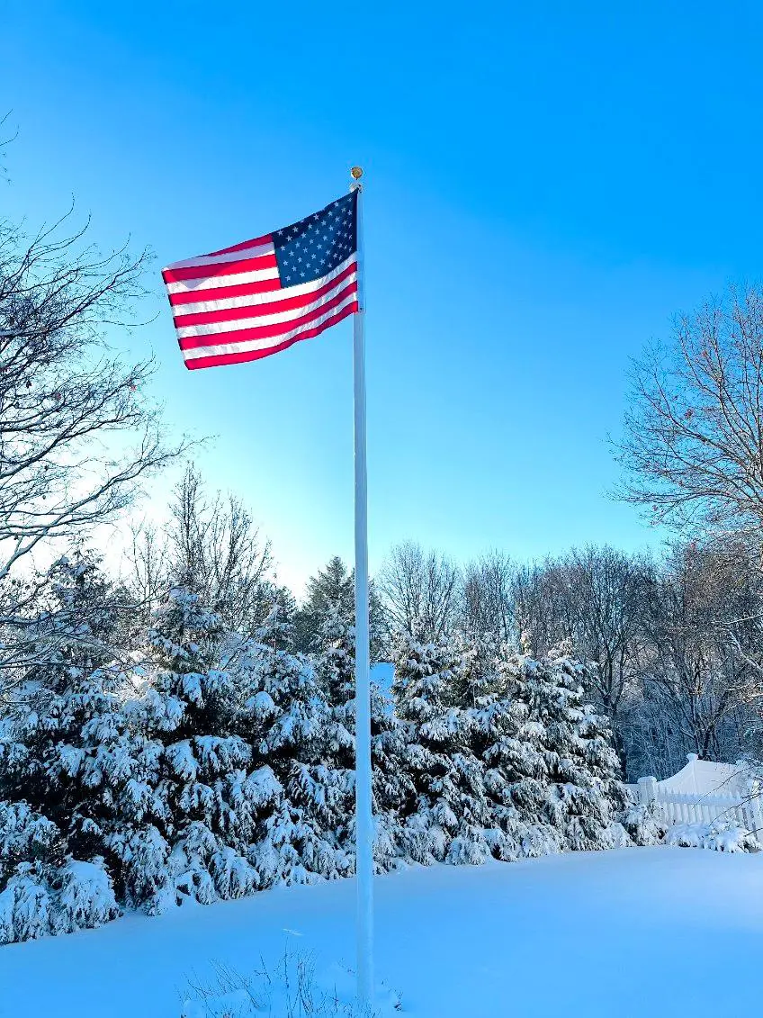 American flag on a pole in a snowy landscape with trees and a clear blue sky.