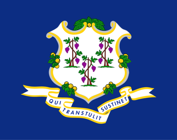 CONNECTICUT STATE FLAG