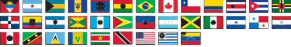 35 MEMBER COMPLETE O.A.S. SETS OUTDOOR FLAGS
